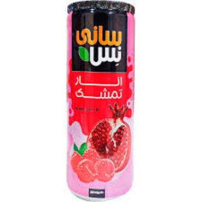 تصویر سانی نس